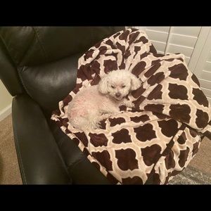 Meet your Posher, Pam